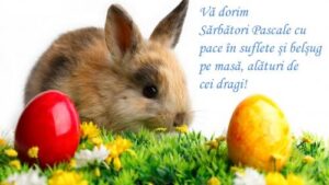 Paște fericit !!!
